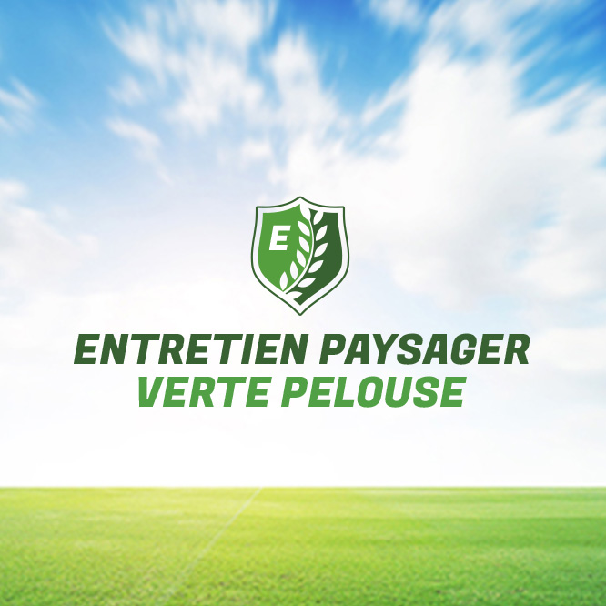 Exemple de logo personnalisé d'aménagement paysager